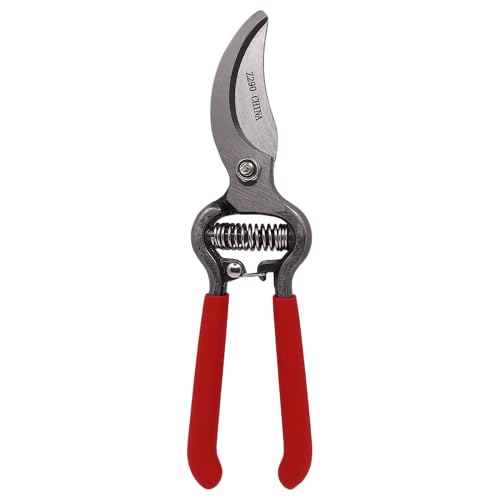 Classic Forged Steel Pro, 8-Inch 10