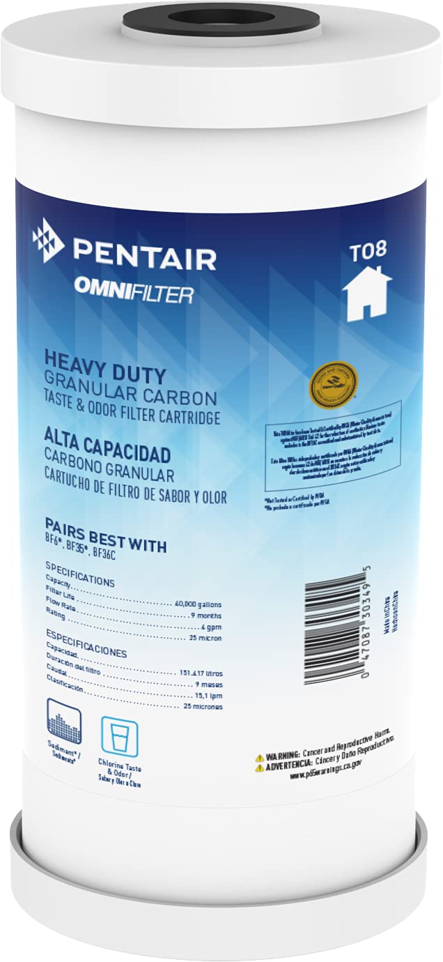 Pentair OMNIFilter TO8 Carbon Water Filter, 10" Heavy Duty Big Blue Whole House Granular Carbon Taste & Odor Replacement Filter Cartridge, 10" x 4.5", 25 Micron 1 Count (Pack of 1) 10 Inch x 4.5 Inch