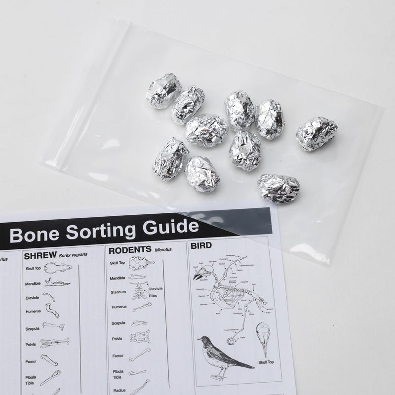 Barn Owl Pellets, Pack of 10 Extra Small Pellets and Bone Sorting Guide, Individually Foil Wrapped & Pre-Graded, Science Classroom Hands On Dissection Kit