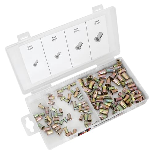 Performance Tool W5252 120-Piece Metric Threaded Rivet Assortment Kit