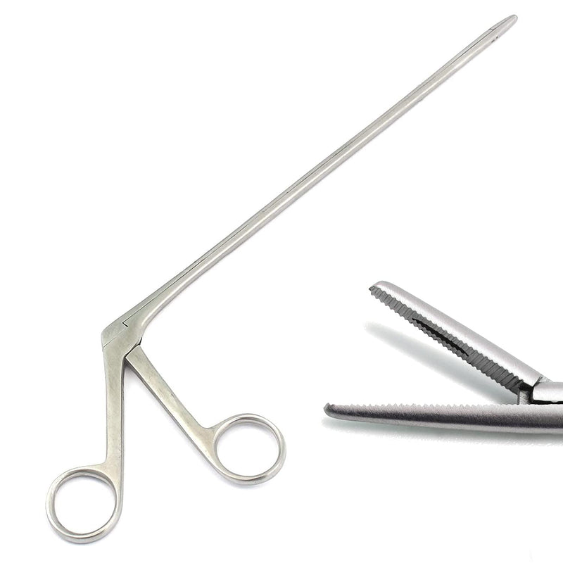 Alligator Ear Serrated Forceps 10 INCHES ENT Instruments Tools Stainless Steel 10" Alliagator Forceps Clamp