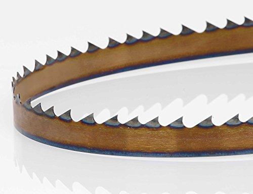 Timber Wolf Bandsaw Blade 3/4" x 116", 2/3 TPI