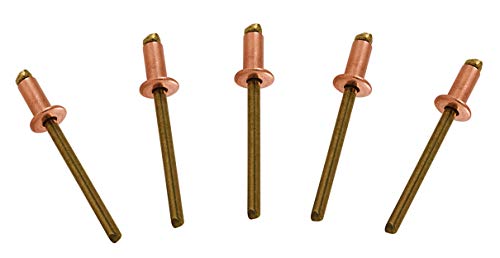 Copper Pop Rivets Brass Mandrel Blind Rivets Dome Head 4-2 (1/8" Diameter x 1/8" Grip) Qty 100