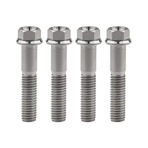 Titanium Hex Small Flange Head Bolt M8 (M8x40mm, Normal Titanium) M8x40mm