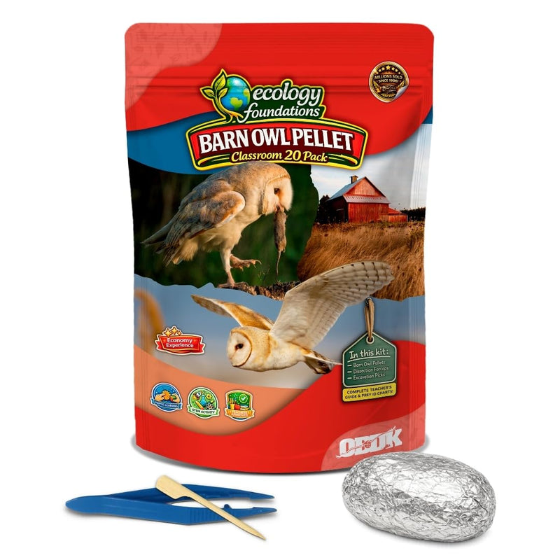 Barn Owl Pellets Classroom 20 Pack (Small) – Dissection Kit for Ecology & STEM – Includes Forceps, Picks & Teacher Guide – Hands-On Science Activity Small (1.0 to 1.5 inches) 20-Pack