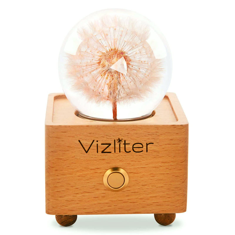 Vizliter Bluetooth Speaker Crystal Ball 65mm LED Lighting Premium Preserved Natural Flower with Wood Base Never Withered Eternal Night Light Audio Portable (Dandelion) Dandelion
