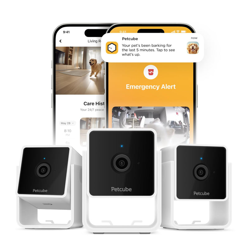 Petcube Cam The Pack of 3 | Indoor Wi-Fi Pet Security Camera with Phone App, 2-Way Audio and Video, Night Vision, 1080p HD Video and Smart Alerts Cam - pack of 3 Cameras