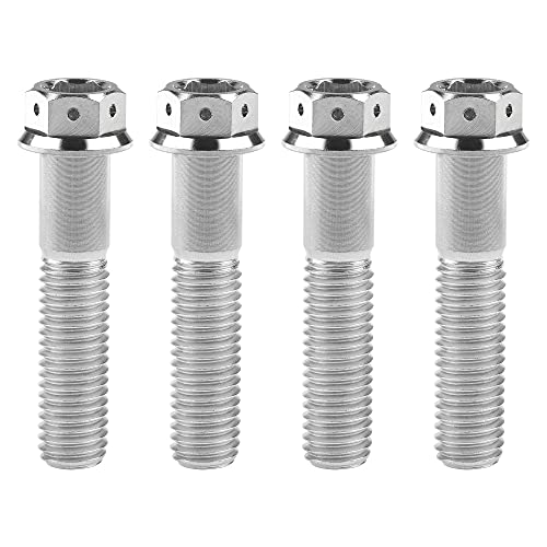 Titanium Flange Bolt M10 (M10x45mm Pitch 1.25mm, Silver) M10x45mm Pitch 1.25mm