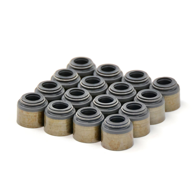 BTR Brian Tooley Racing LS Valve Seal Kit - VS LS KIT - Fits 4.8L 5.3L 5.7L 6.0L 6.2L LS Engine - Built for Dual Valve Springs - Perfect for LS1 LS2 LS3 Engines