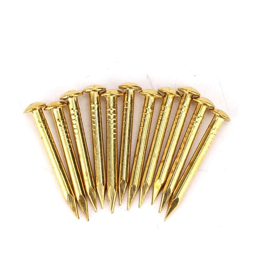 Oumefar Gold Round Head Nail Brass Nails Mini Model Nail Furniture Hinge 100pcs for Hardware Accessories DIY Crafts(#1) Home