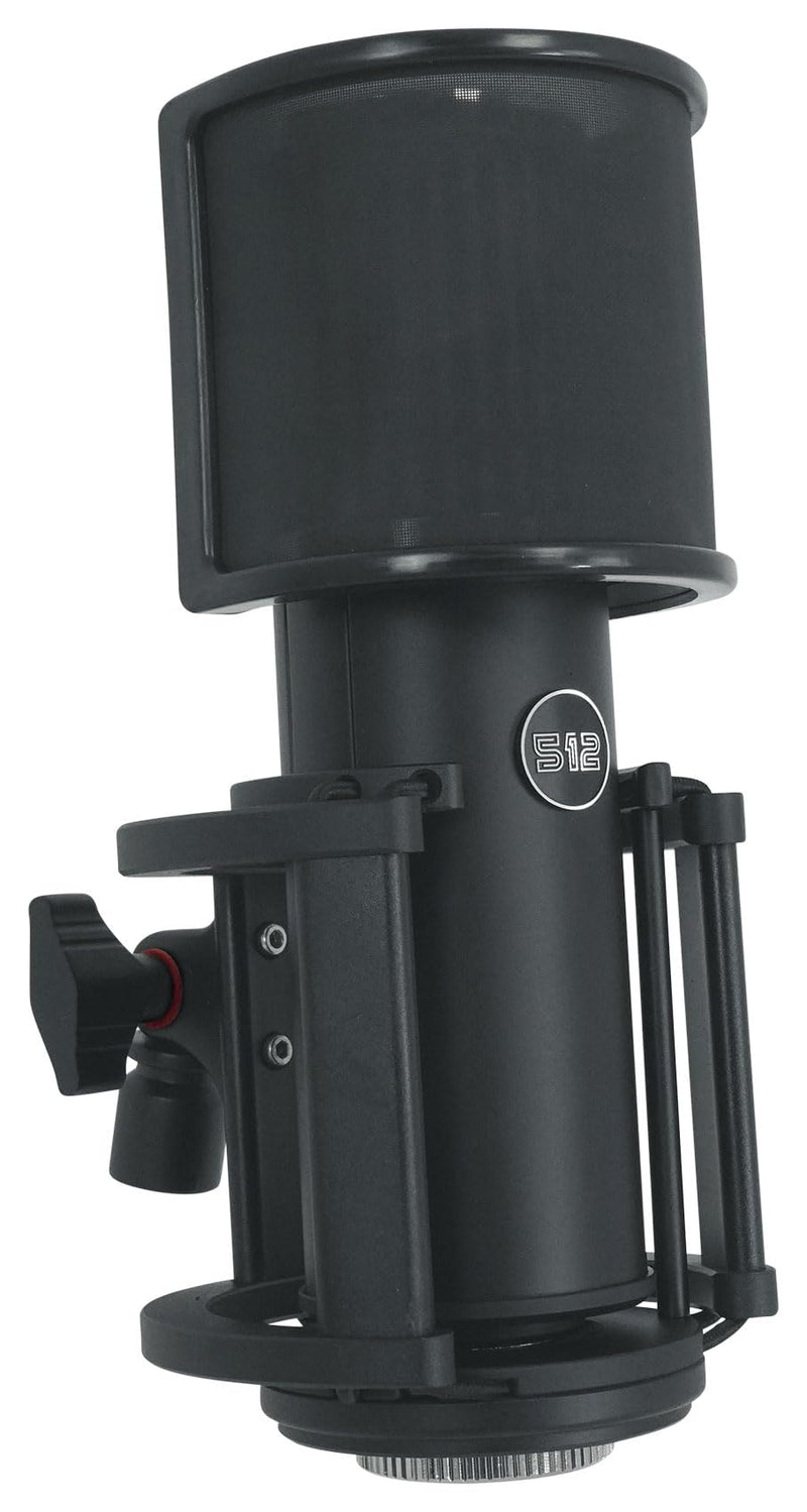 512 Audio by Warm Audio Skylight Large Diaphragm Studio Condenser XLR Microphone + Shock Mount + Bag for Recording and Podcasting
