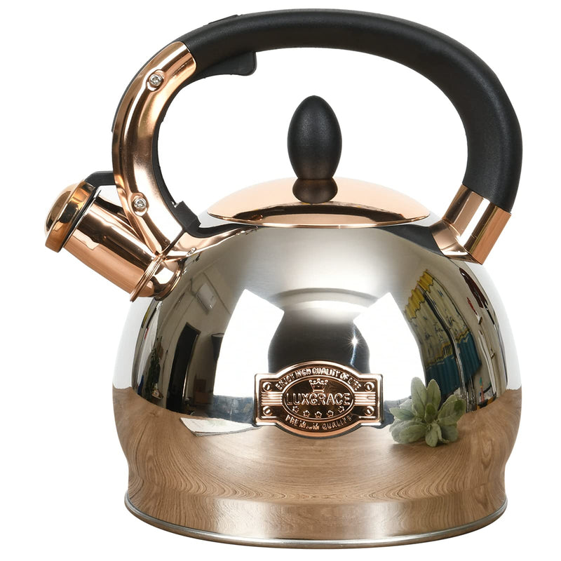 Stainless Steel Whistling Tea Kettle with Metal Capsulated Bottom for Quick Heat Distribution 2.8 Quart 3 Quarts Silver001