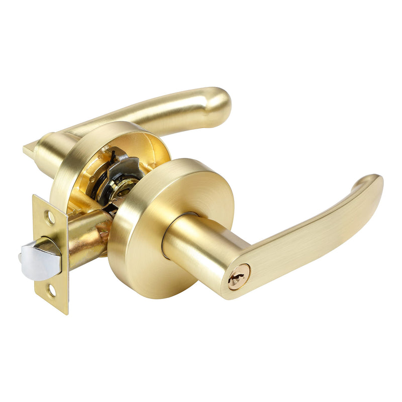 Leydebong 1 Pack Door Knobs with Keys, Entry Door Handles Light Satin Brass, Bedroom Bathroom Front Door Handle with Keys, Keyed Alike Door Levers for Interior Exterior Use, Round Modern Door Handles Keyed Entrance-Keyed Alike