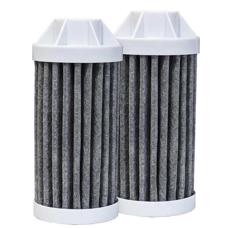 Epic Everywhere Bottle Filter Complete | 75 Gallon Total Filter Life | 3-4 month Supply | Compatible with all Epic Water Bottles | Replaces Everyday and Outdoor (Cartridge Double)