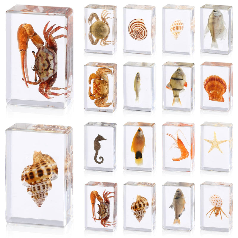 16 Pcs Ocean Animal Insect in Resin Specimen Bugs Collection Paperweights，16 Styles Real Bug Specimen Bug Kit Preserved in Resin for Scientific Educational Display Supplies (Ocean)