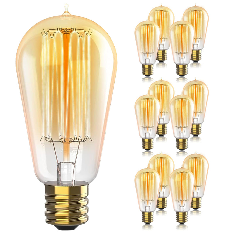 Hudson Bulb Co. Vintage Incandescent Edison Light Bulbs, 60W, E26/E27 Base, 2100K Dimmable Decorative Lights, ST58 Style Warm Glow, Antique Squirrel Filament for Indoor and Outdoor Use - 12 Pack 12ct Dimmable Incandescent Squirrel Filament - Clear Glass