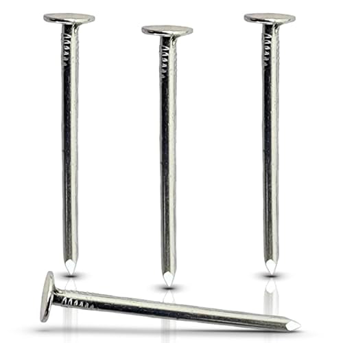 2-Inch Galvanized Roofing Nails Professional Grade - Used to fasten roofing felt, asphalt singles & insulation board (100) 100