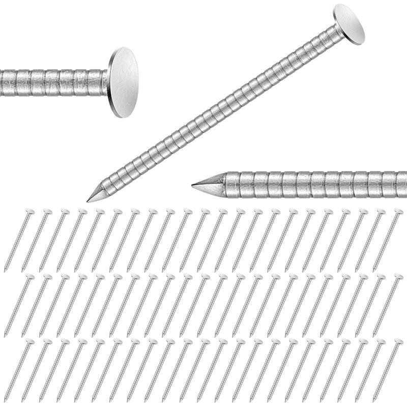 Tandefio 1-1/2 Inch 2 Pounds Roofing Nails 304 Stainless Steel Roofing Felt Nails Flat Head Hardware for Shingles, Cedar Wood, Decking, Wall (Silver) Silver
