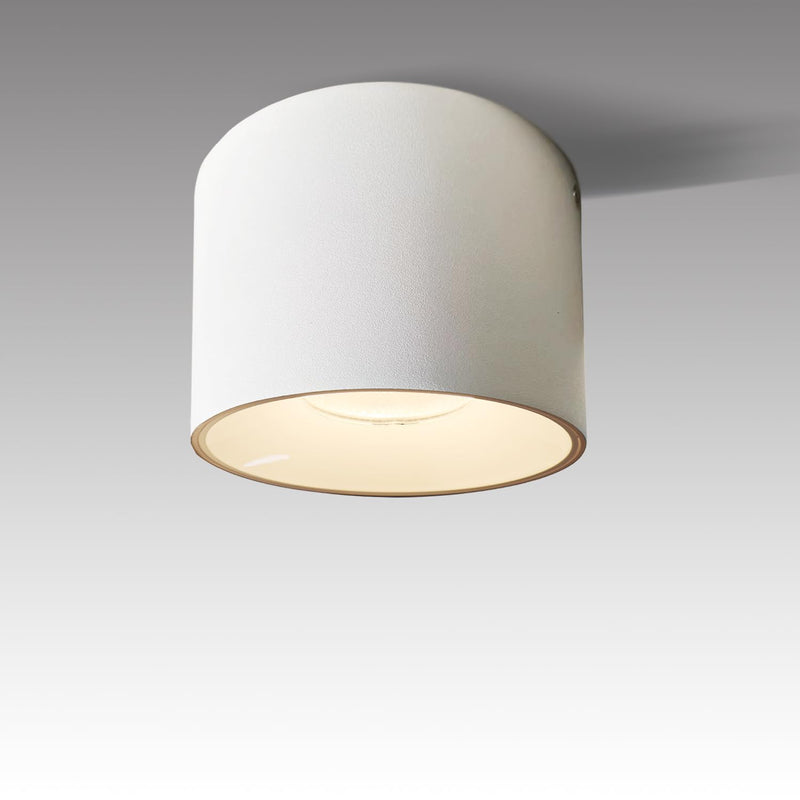 LED Dimmable Ceiling Spotlight Aluminum White 4.72" Cylinder Spot Light Indoor Modern Minimalist Focus Accent Down Light for Cylinder Hallway Kitchen Foyer CRI 98 12W 3000K Round-12W-Dimmable