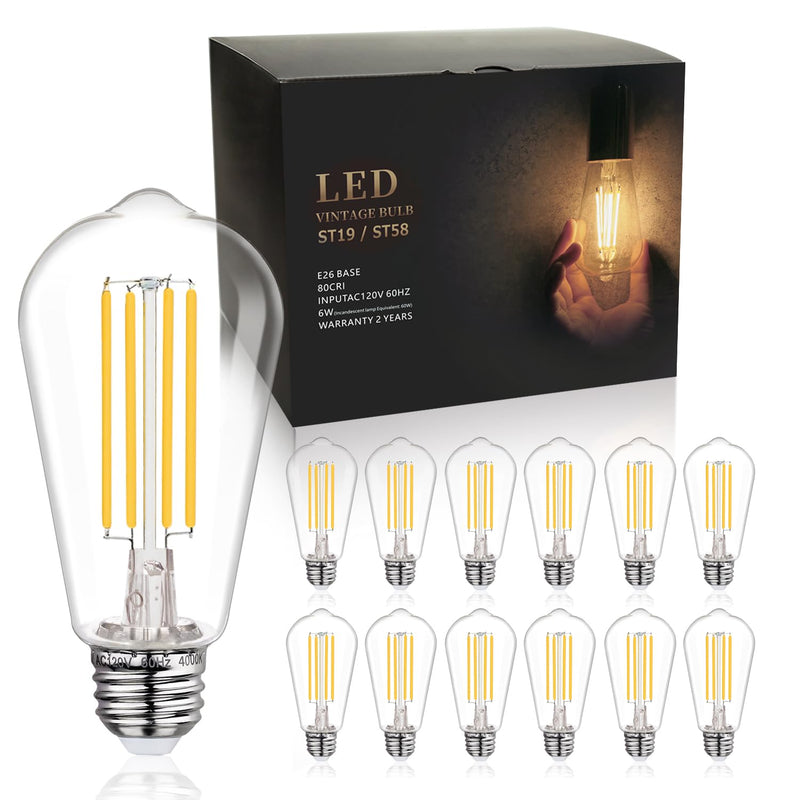 BORT ST58/ST19 Vintage LED Edison Bulbs, 6W Equivalent 60W Filament Light Bulbs, Dimmable 700LM, E26 Base LED Bulbs, Clear Plastic (Daylight White, 12 Pack) Daylight White