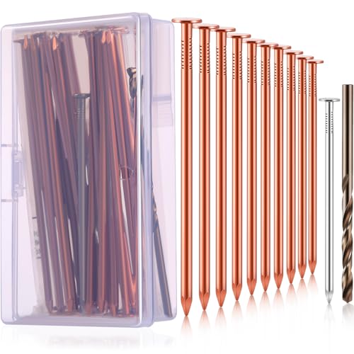 Gisafai 29 Pcs Tree Stump Killer Set Includes 24 Pcs 4.92 Inch Copper Nails Bulk, 2 Pcs Steel Nails, 2 Drill Nails, 1 Storage Box, Stump Removal Spikes Hardware Nails for Trees Stumps Landscaping