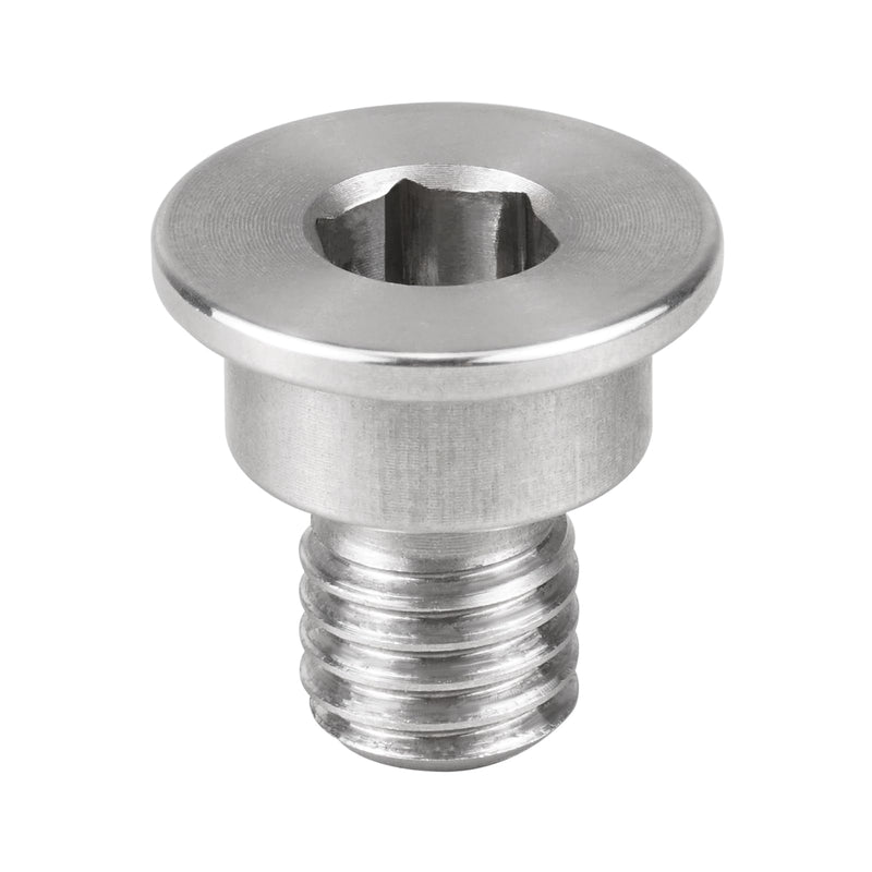 Bevinsee Brake Disc Rotor Screw 34211161806 Compatible with BMW E36 E46 E90 E91 E92 E93 E39 E60 E61 E88 F30 Z3 Z4 320i 323i 328i 330Ci 330d 330xi 335i 525i 530i, Stainless Steel Retaining Screw Stainless Steel-1