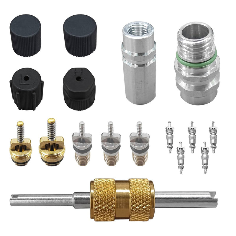 17PCS Car Air Conditioning Valve Core Kit, R12 R134A Teflon Seal Cap Valve Kit with Removal Tool for High Low-Pressure A/C Service Port, Car & HVAC AC Refrigerant Tool Black