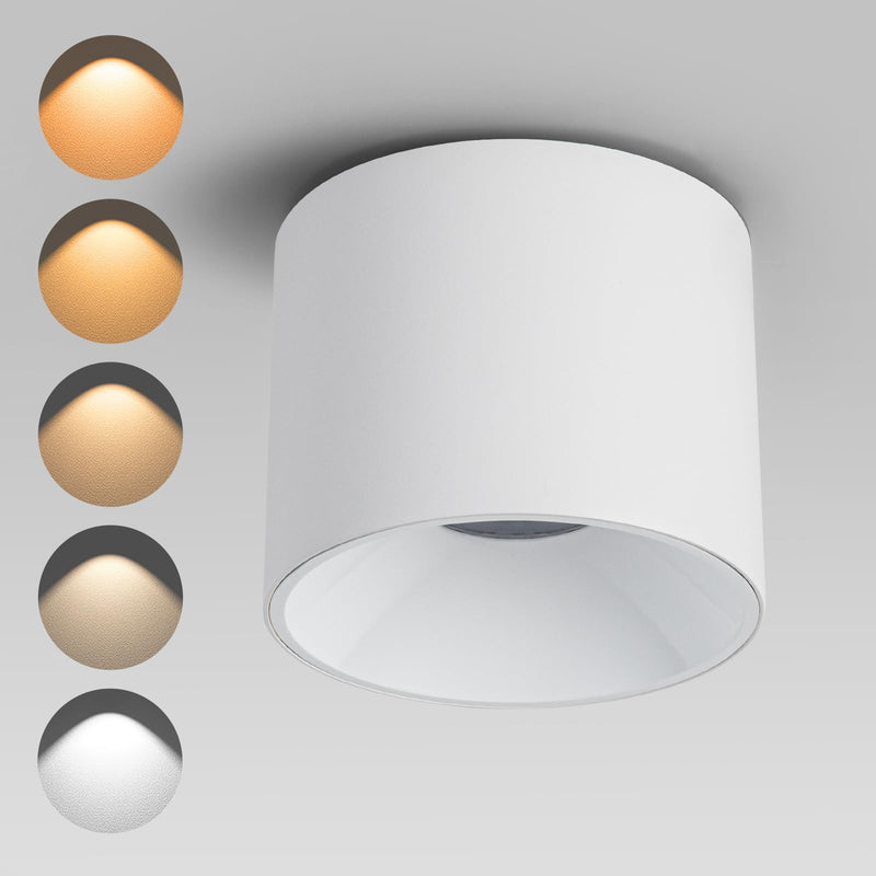 Modern LED Ceiling Spotlight 5CCT 4.72 inches 18W Dimmable Ceiling Light,2700K-5000K,for Living Room Spotlight Indoor(White) White