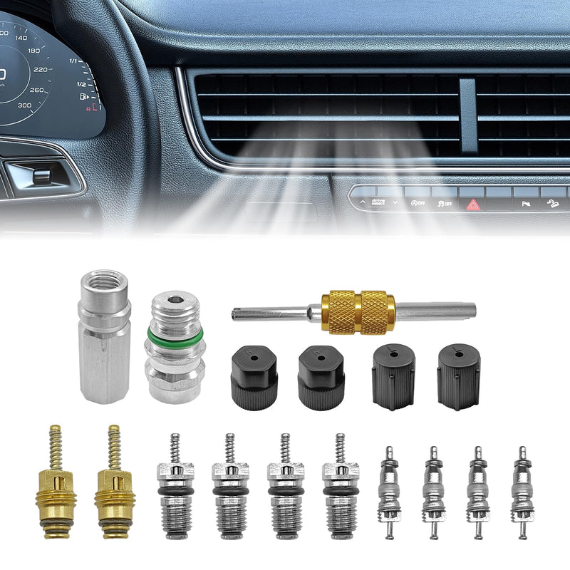 Air Conditioning Valve Core Kit for R12 or R134a | Teflon Seal Refrigeration A/C Air Conditioning Service Valve Car & HVAC AC Charging Port Seal Caps Kit (A/C System Cap & Valve Seal Kits)