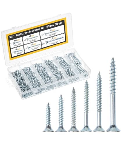 Mr. Pen- Wood Screws Assortment Kit, 300 pcs, Silver, Phillips Head