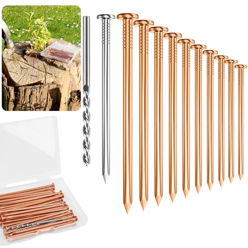 Pack 20 Copper Nails for Killing Trees Stump Root, 4" Copper Nails with Drill, Stump Removal Spikes Hardware Nails for Trees 4" -20pcs