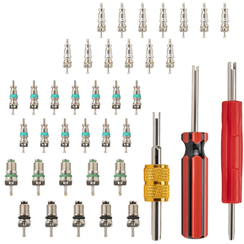 39 PCS Air Conditioning Valve Core Accessories Kit, R12 R134a Refrigeration Schrader Tire Valve Stem Cores with Single & Dual Heads Valve Core Remover Installer Tool, HVAC System Seal Caps Kit