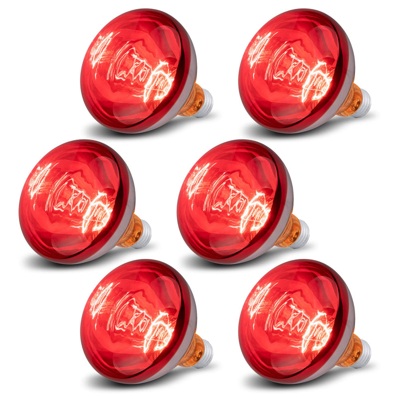 6 Pack 250W Heat Lamp Bulbs for Chicks, R40 Brooder Heat Lamp for Chickens, Infrared Reflector Heating Bulbs, Incandescent Heat for Pet, Bathroom, Food 6 Pack