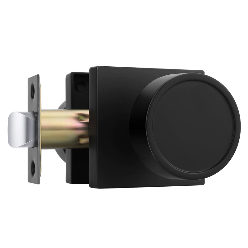 Goldenwarm Matte Black Door Knobs Passage, Closet Door Knob Zinc Alloy, Contemporary Black Interior Door Knobs for Hallway, 1 Pack