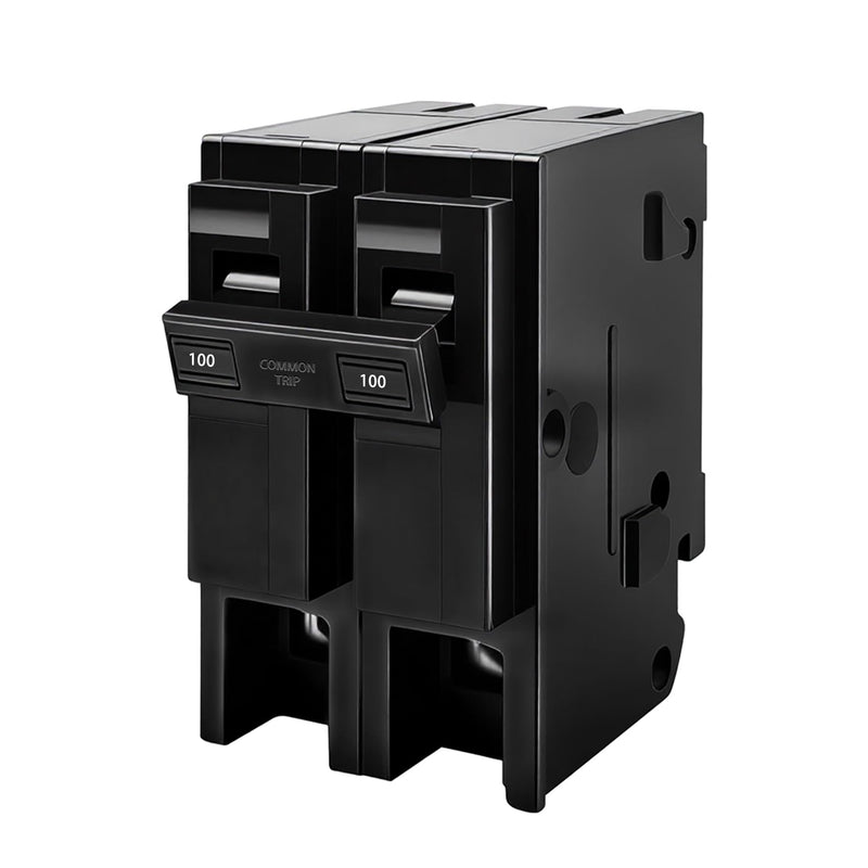 100 Amp 2 Pole Breaker,Replace for HOM2100 Circuit Breaker,100 Amp 2 Pole,120/240V,Compatible with Most Load Centers.Plug-in Circuit Breaker,Thehermal Magnetic Protection,5 Year Warranty 100 AMP