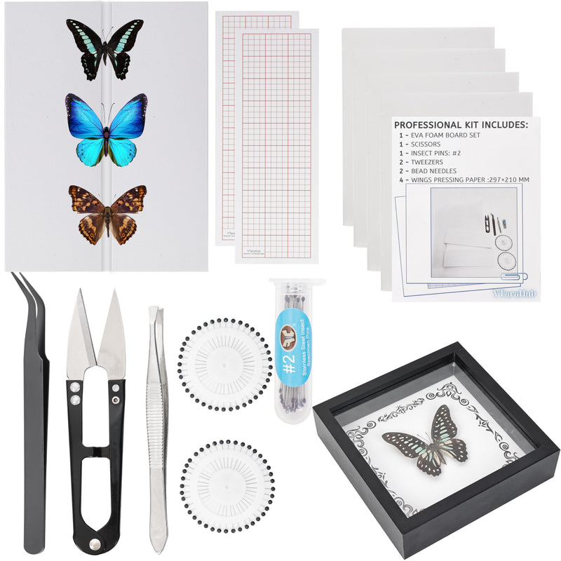 Insect Specimen Tools Kit - EVA Foam Pinning Board, Coordinate Paper, Wings Pressing Paper, Insect Pins & Butterfly Pins, Complete Entomology Kit for Beginners (Black Display Case Box Kit) Black Display Case Box Kit