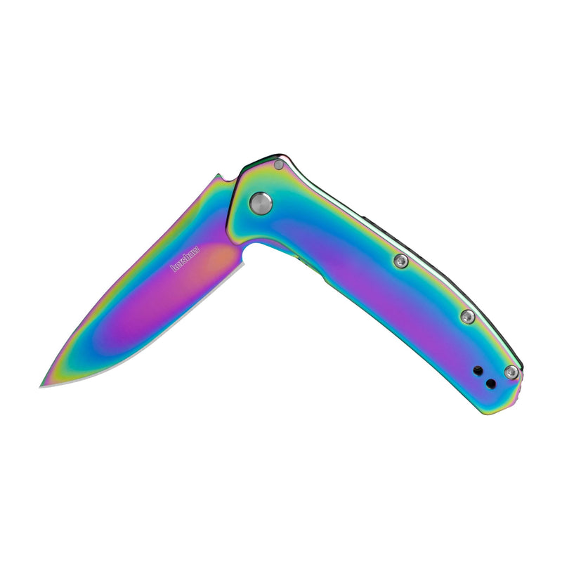 Kershaw Outcome Pocket Knife, Silver, 2.8 Inch Stainless Steel Drop Point Blade, EDC with Assisted Opening, Reversible Pocketclip, Everyday Carry Pocket Knife for Men and Women Rainbow
