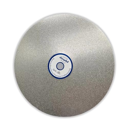 Diamond Flat Lap Disc, 10 Inch, 320 Grit, 1 Inch Arbor, for Gemstone Glass Ceramics Grinding Polishing (320 Grit)