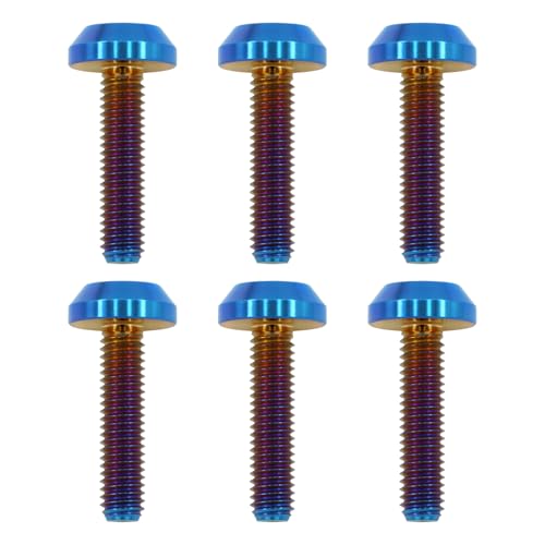 M6X25 Titanium Bolts, 6PCS, Burnt Blue M6X25
