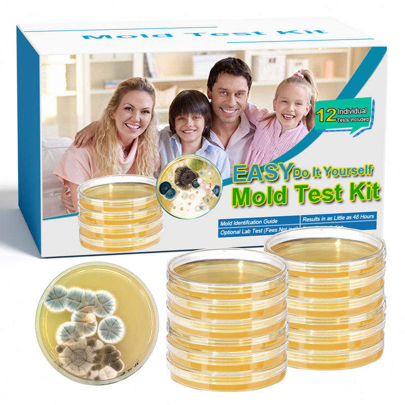 Mold Test Kit for Home- DIY Mold Detector for Home, 12 At Home Mold Air Test Kits - Test HVAC、 Home Surfaces、Indoor Air Quality, Easy Black Mold Testing Kit Includes Detailed Mold Identification Guide 12 pack