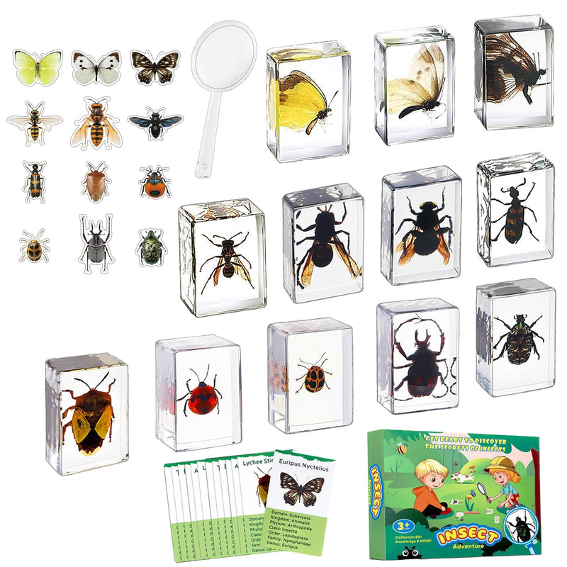 12 PCS Real Insect Resin Specimen, Science Education Bug Collection | Preserved Butterflies & Beetles, Stickers & Knowledge Cards, Kids Gift for Preschool Classroom Learning & Oddities Collectors
