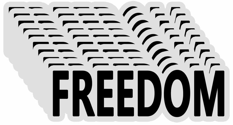10 Pack Charlie Kirk Freedom Stickers Laptop Bumper Decal Window Waterproof Car Stickers