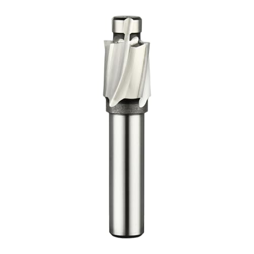 M14 1pcs Straight Shank Counterbore End Mill 4-Flute HSS End Mill DRINYOUNG (M14) M14