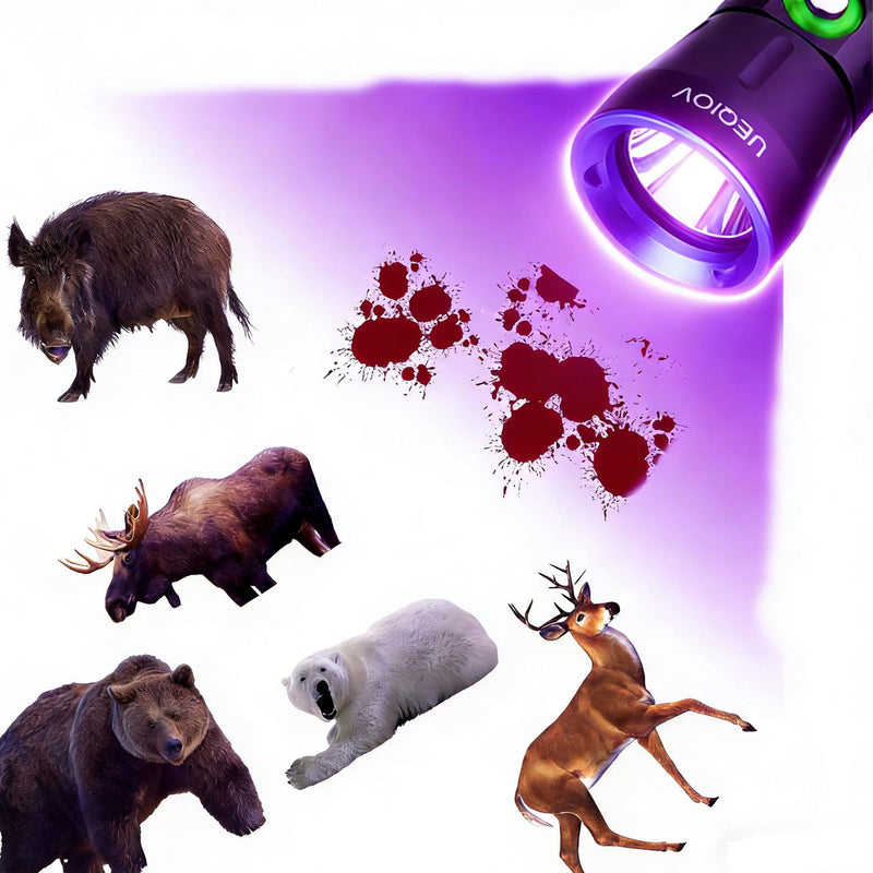 3V LED Bead, 395nm UV, Blood Tracking Light for Hunting Deer, Special Filter Highlights Blood Trail, Flashlight for Wounded Prey Detection，10W high Power,Waterproof IPX8