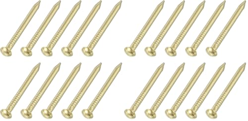 uxcell 50Pcs Small Hardware Nails, 2D x 1" Brass Round Head Nail Common Finishing Nail for Household Woodworking Picture Hanging DIY Projects, Gold (Pack of 2) 2D x 1" (Pack of 2) 100