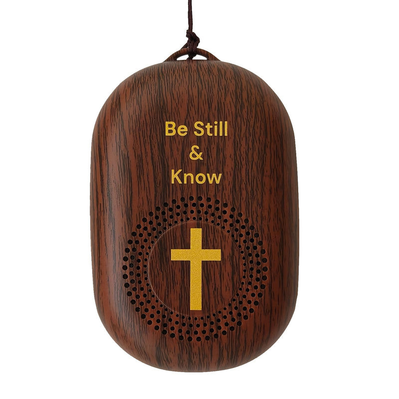 KJV Audio Bible Player, Portable microSD Audio Player, Speakers, King James Version Talking Electronic Bible, Portable Bible Player Device New & Old Testament, Gifts for Seniors, Brown
