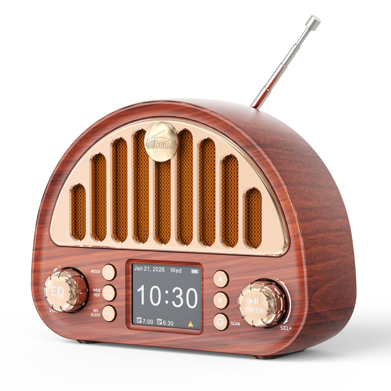 Retro FM Radio with Bluetooth Speaker & NOAA Weather Alert | 40 FM Presets + 7 Weather Bands, 2" Color Display, Dual Alarm, Rechargeable Battery, MicroSD Playback for Home & Office
