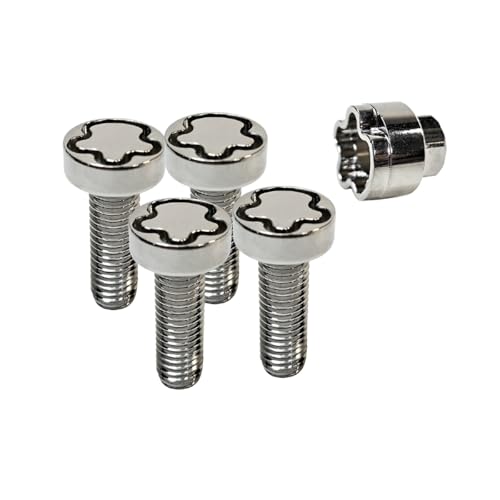 Hidden Security M6 Screws Stainless Steel Anti-Theft Locking 30mm Hardware Kit for Mountain Bike Awning Car Accessories Styling Light Bar (4 Lock + 1 Key) M6*30mm