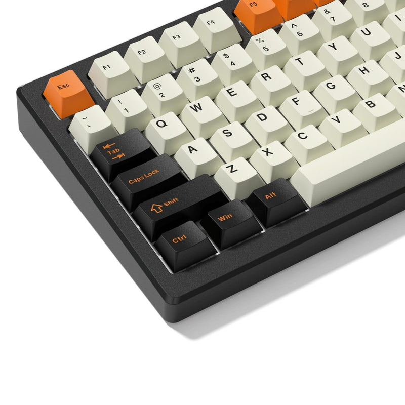 Womier PBT Keycaps, Custom Retro Keycaps Set, Keyboard Caps | Cherry Profile Keycaps 138 Keys Universal Compatiability for 60% 75% 96% 100% Percent Cherry MX Switches Keyboard-Carbon Gray Carbon Gray
