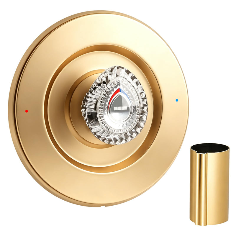 Shower Trim Kit, Compatible with Moen T470 Chateau Shower Trim Kit, for Dual Seal Cartridge Trim Kit and Single Handle Tub/Shower Trim, Includes Escutcheon, Tubes, Shower Handle and Screws, Gold